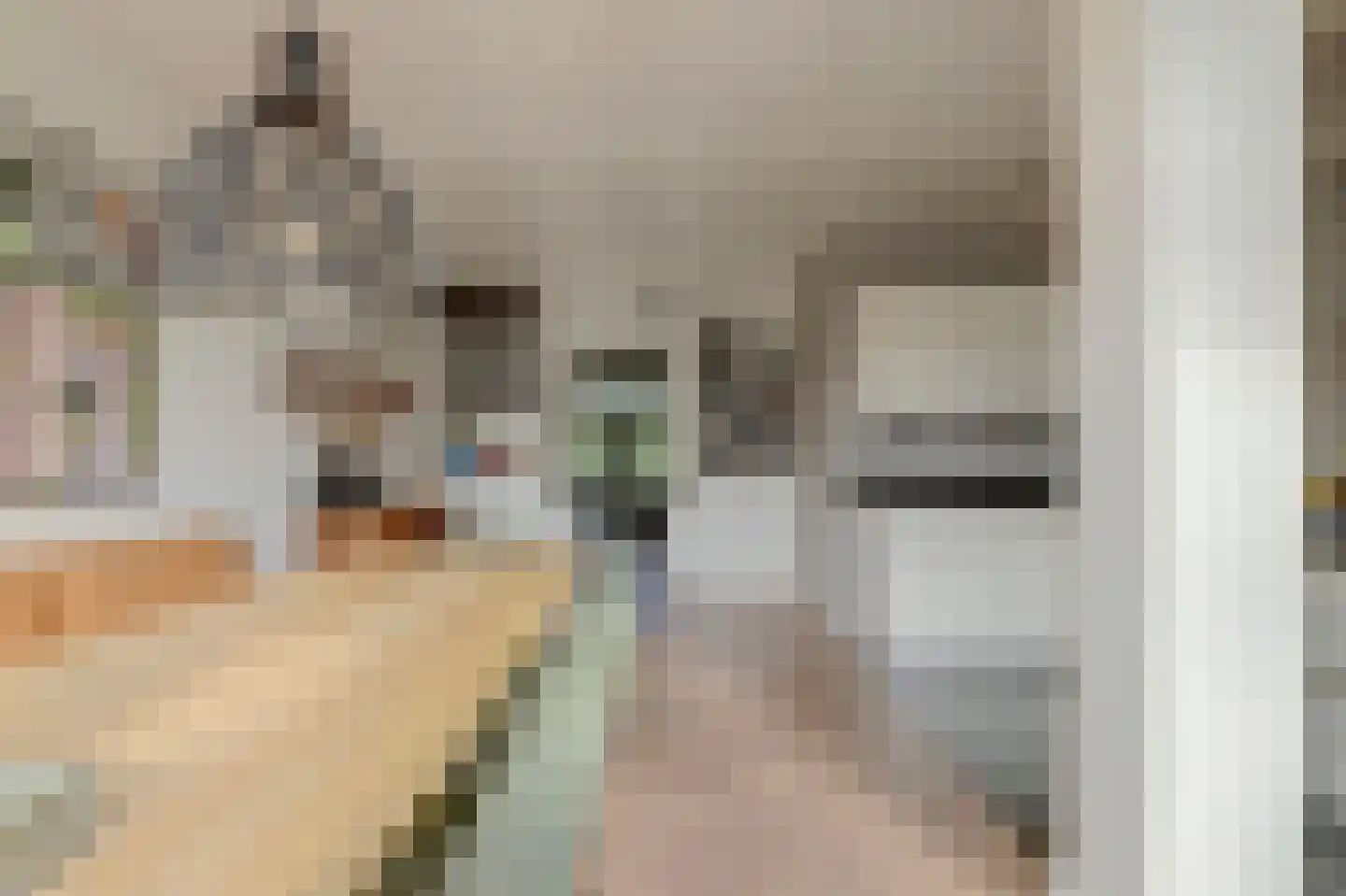 Burgvlietkade 18 Gouda thumbnail 17