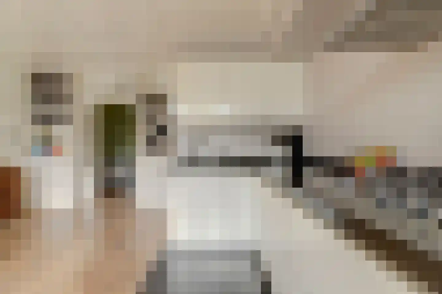 Burgvlietkade 18 Gouda thumbnail 20