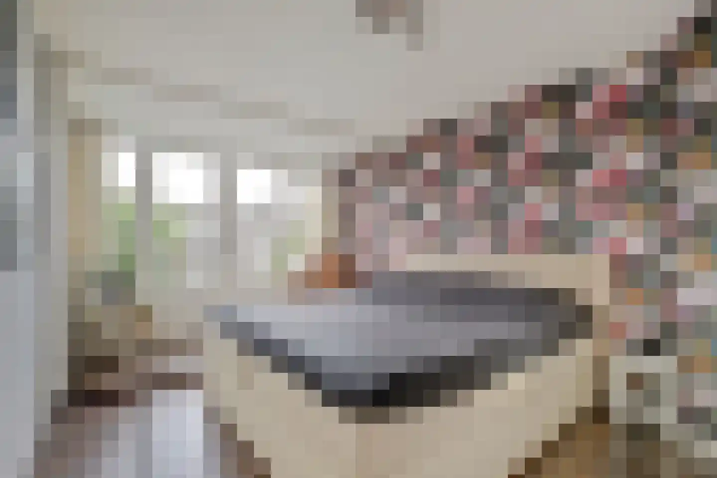 Burgvlietkade 18 Gouda thumbnail 24