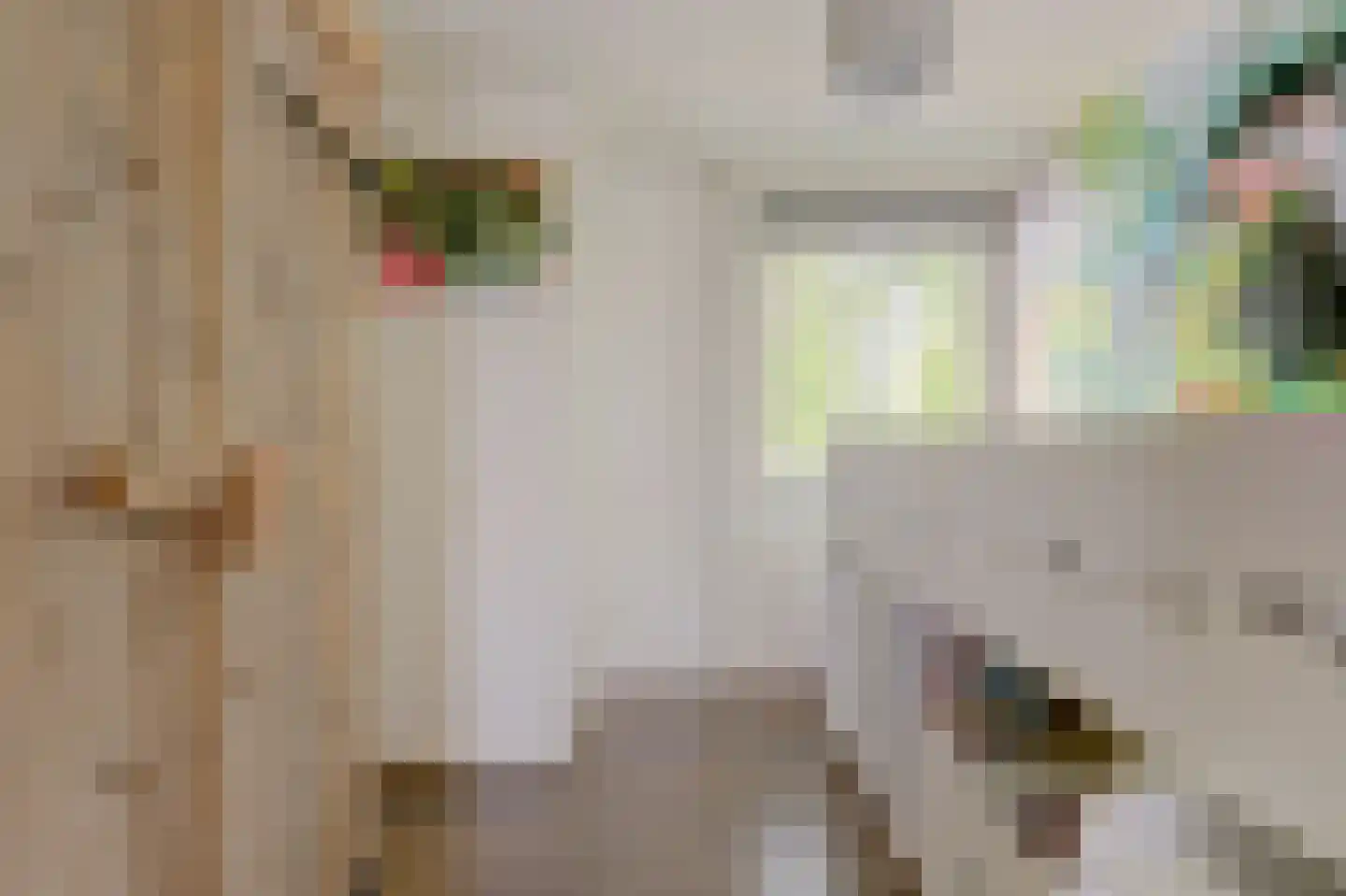 Burgvlietkade 18 Gouda thumbnail 26