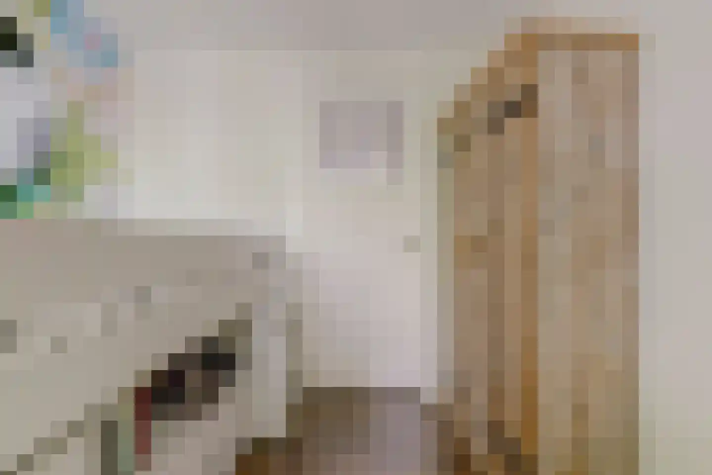 Burgvlietkade 18 Gouda thumbnail 27