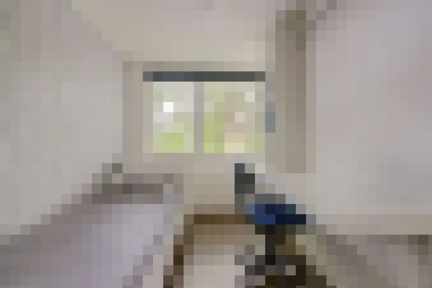 Burgvlietkade 18 Gouda thumbnail 28