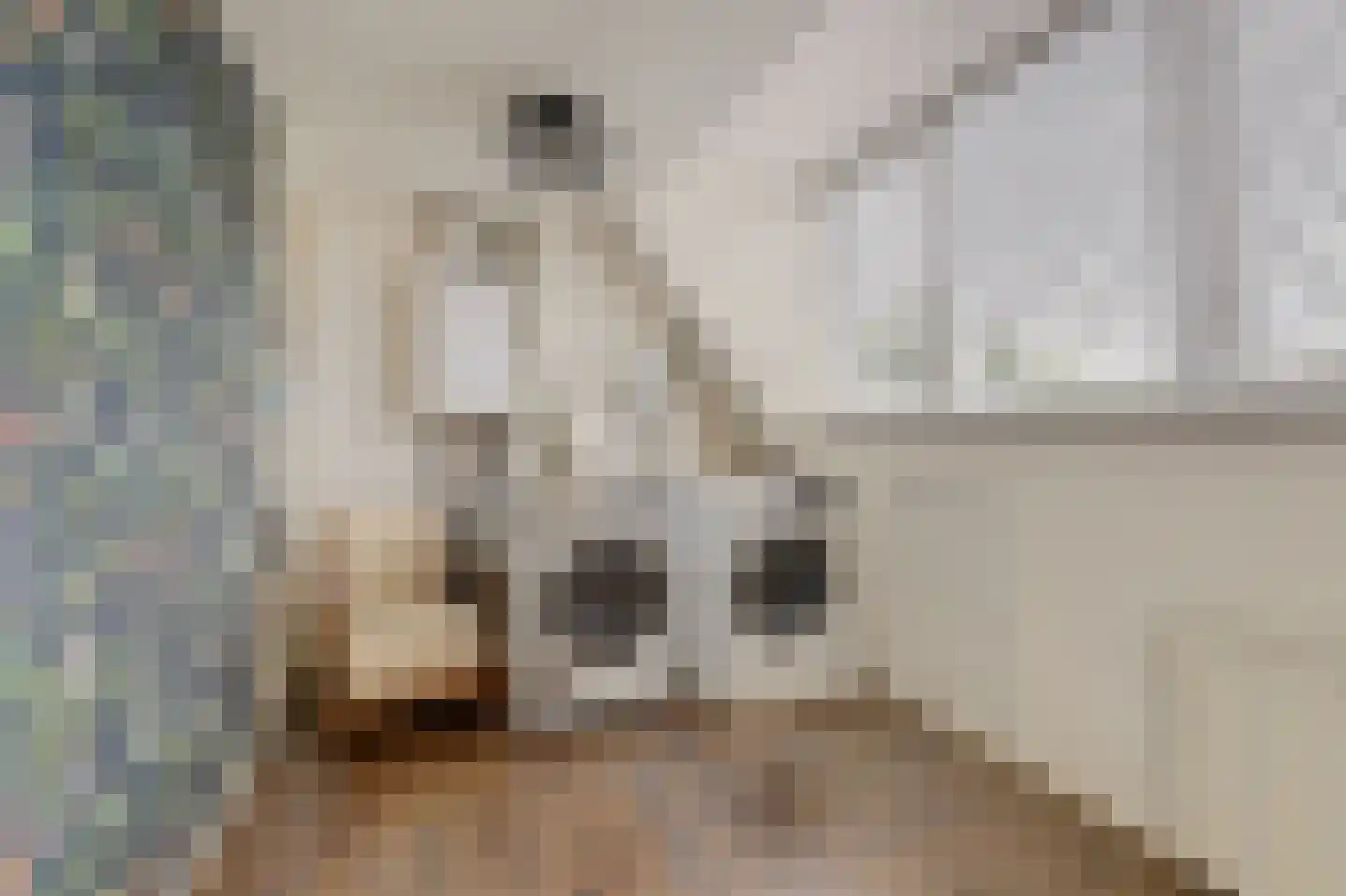 Burgvlietkade 18 Gouda thumbnail 38