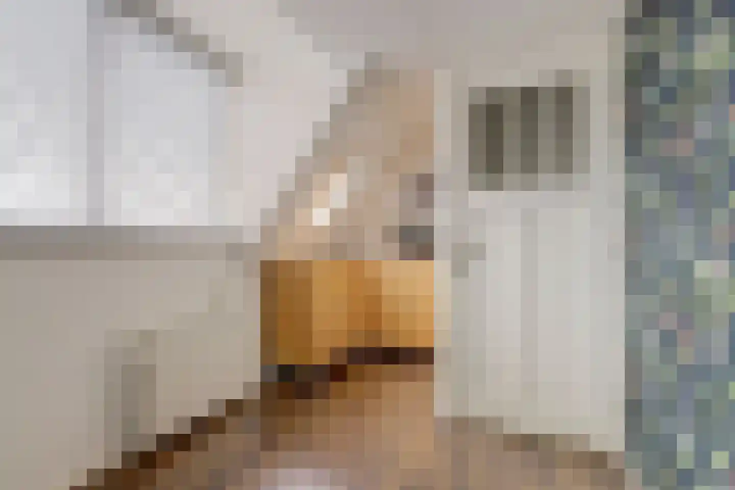 Burgvlietkade 18 Gouda thumbnail 39