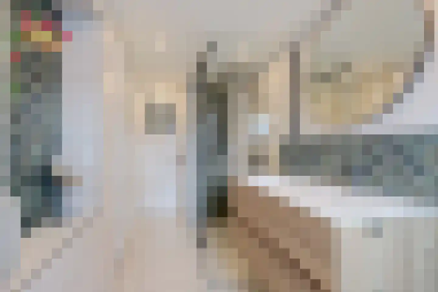 Burgvlietkade 18 Gouda thumbnail 4