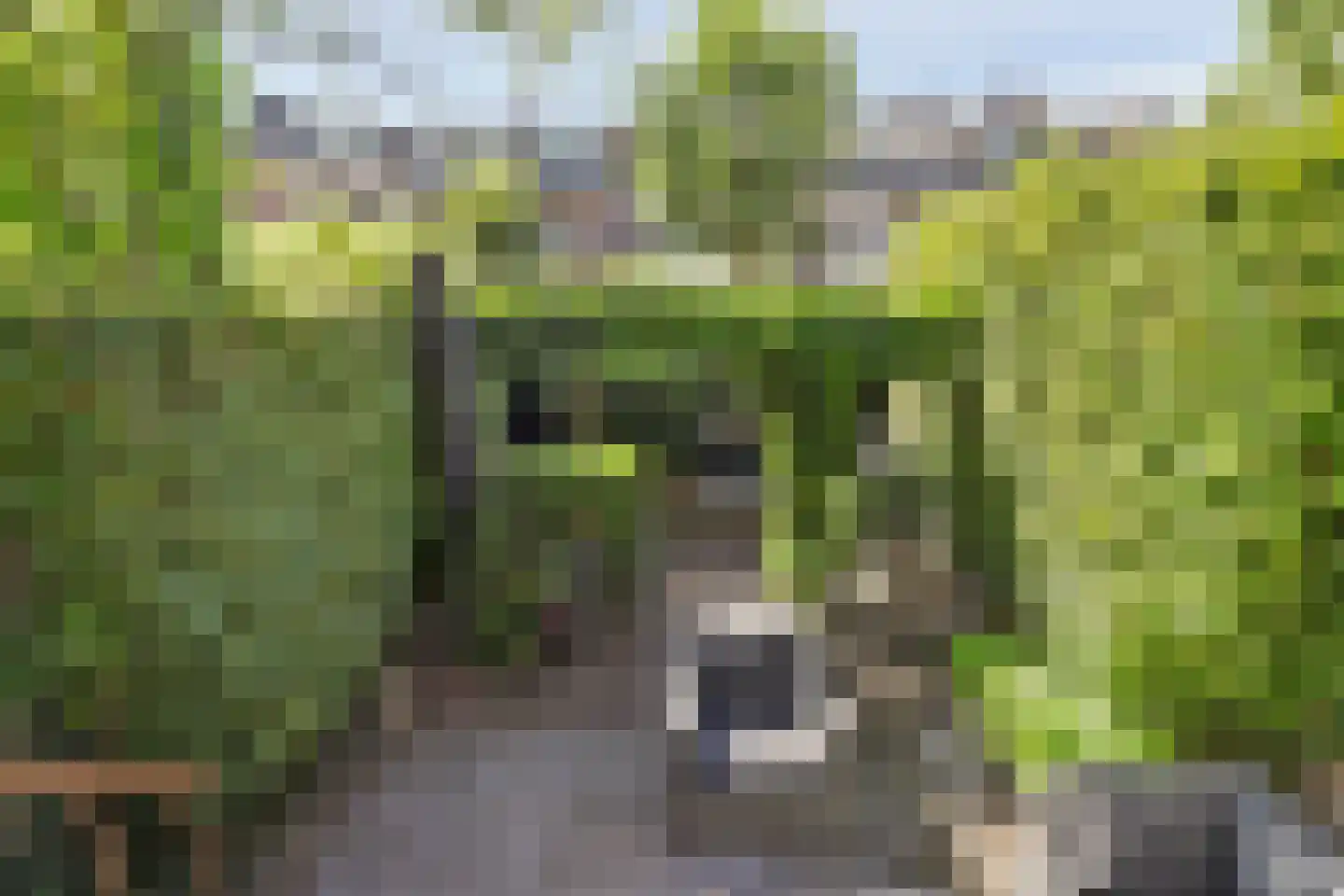 Burgvlietkade 18 Gouda thumbnail 46