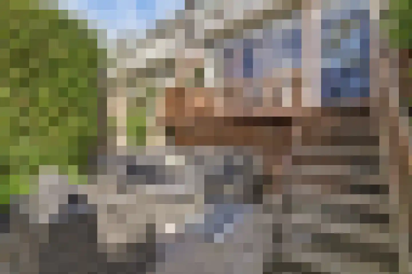 Burgvlietkade 18 Gouda thumbnail 47