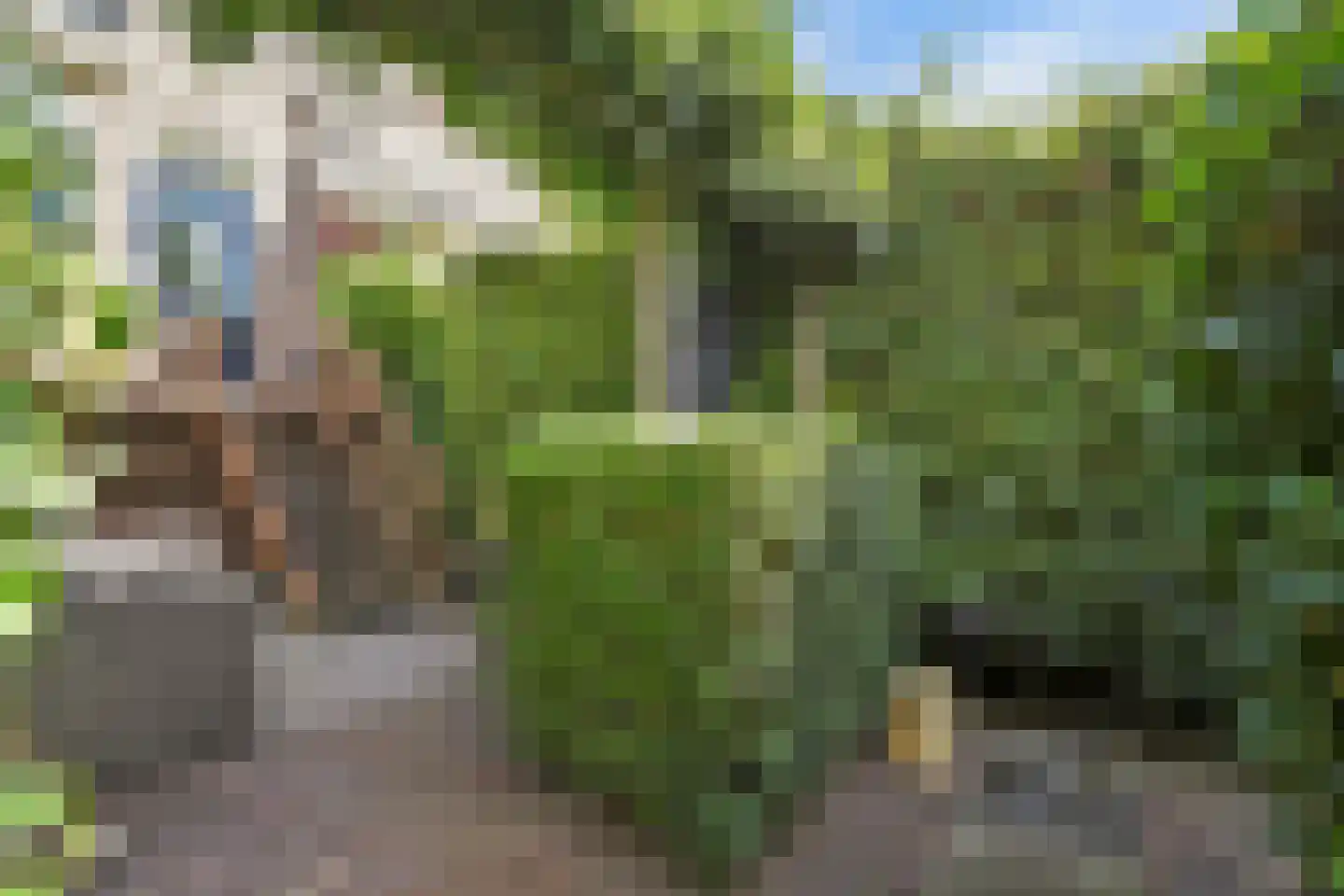 Burgvlietkade 18 Gouda thumbnail 48