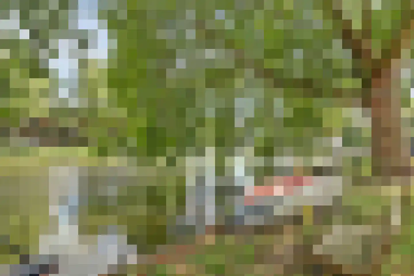 Burgvlietkade 18 Gouda thumbnail 54