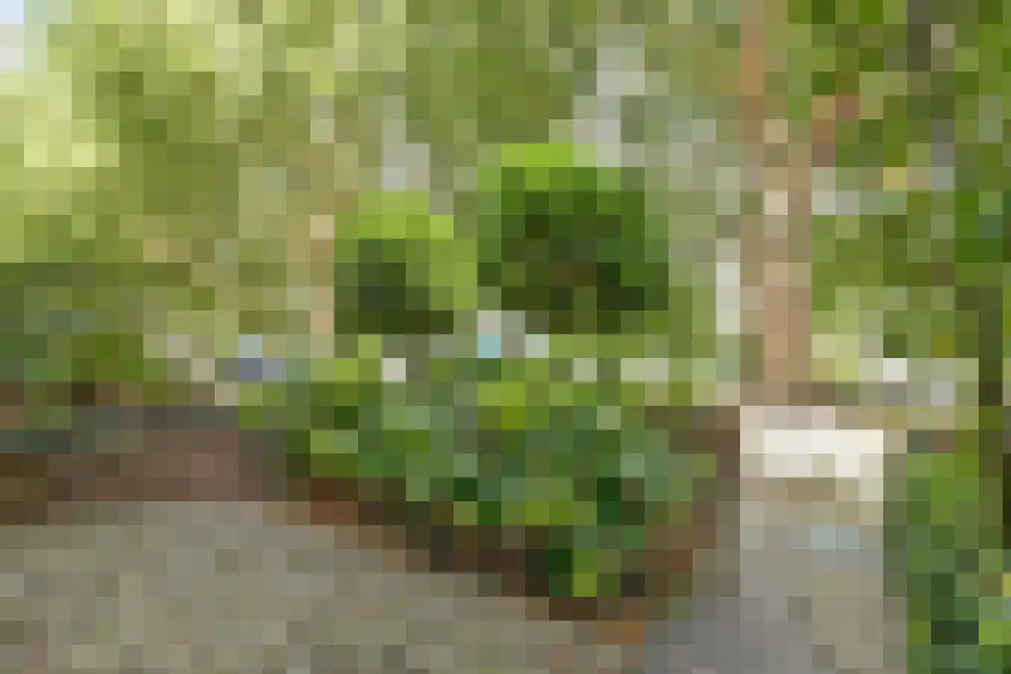Burgvlietkade 18 Gouda thumbnail 7