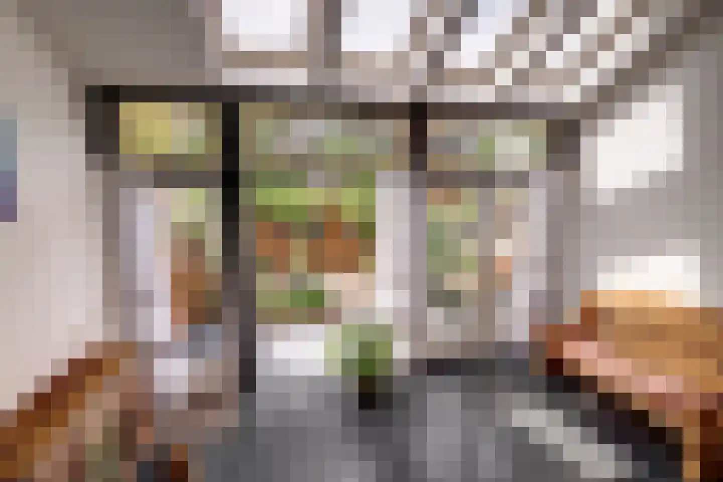 Burgvlietkade 33 Gouda thumbnail 13