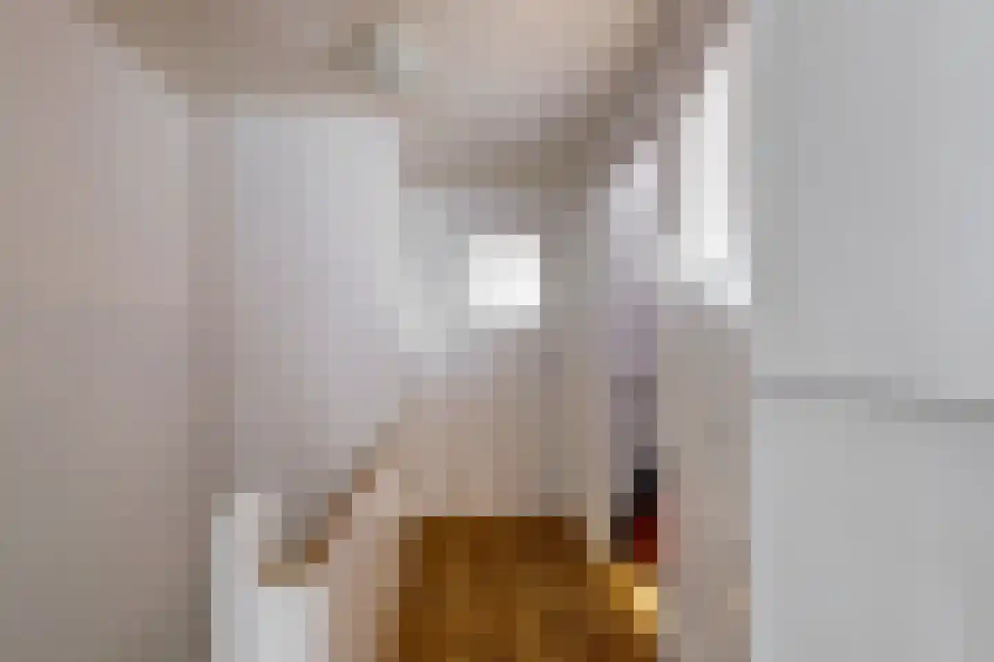 Burgvlietkade 33 Gouda thumbnail 21