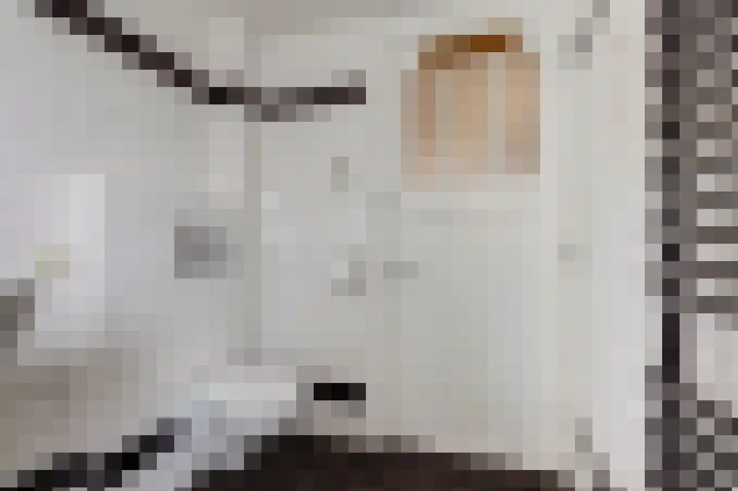 Burgvlietkade 33 Gouda thumbnail 31