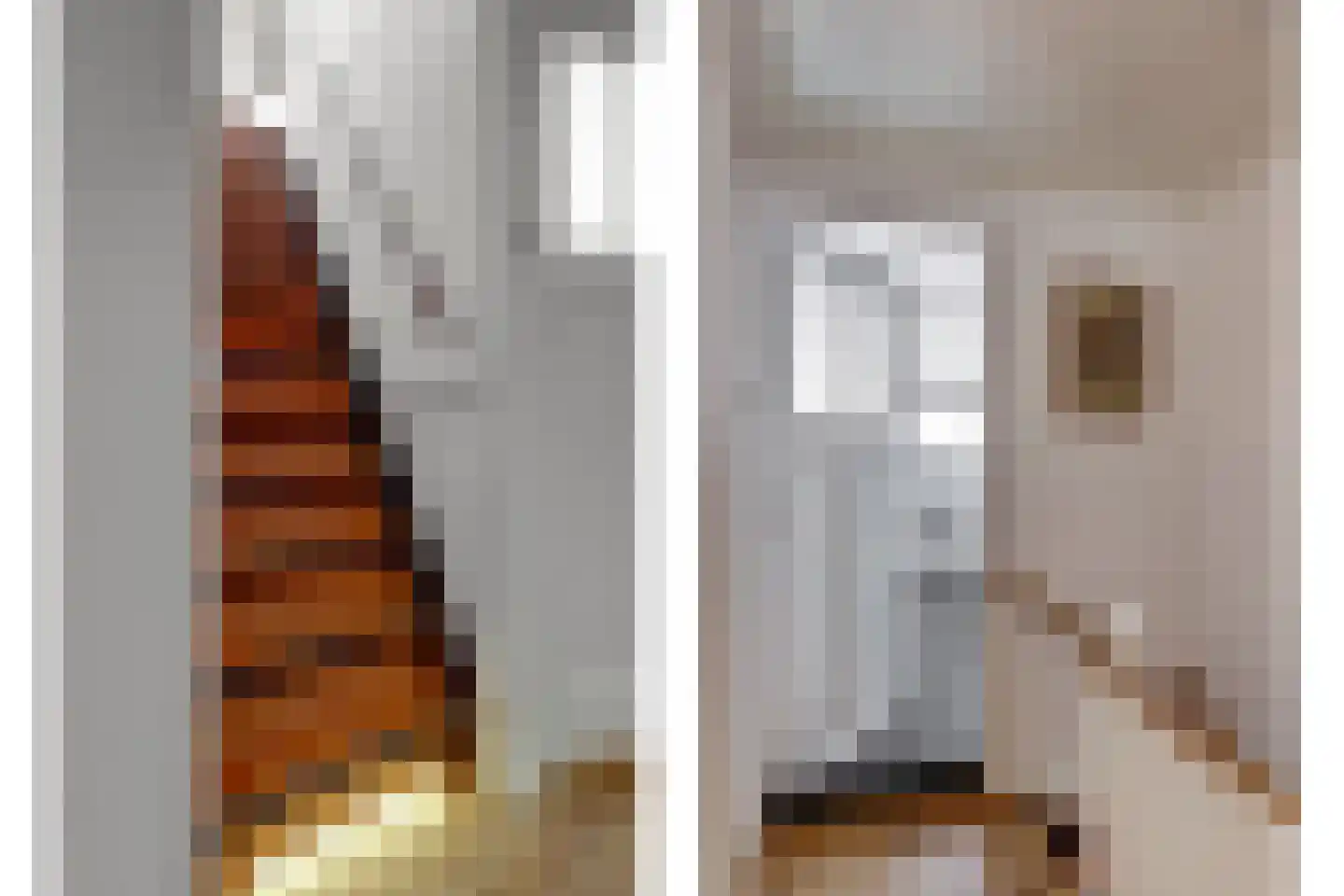 Burgvlietkade 33 Gouda thumbnail 33
