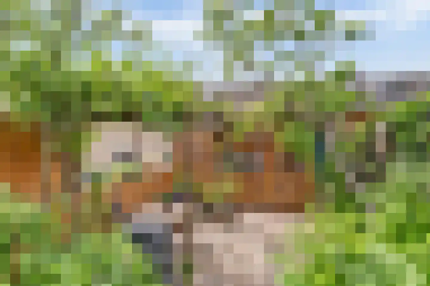 Burgvlietkade 33 Gouda thumbnail 39