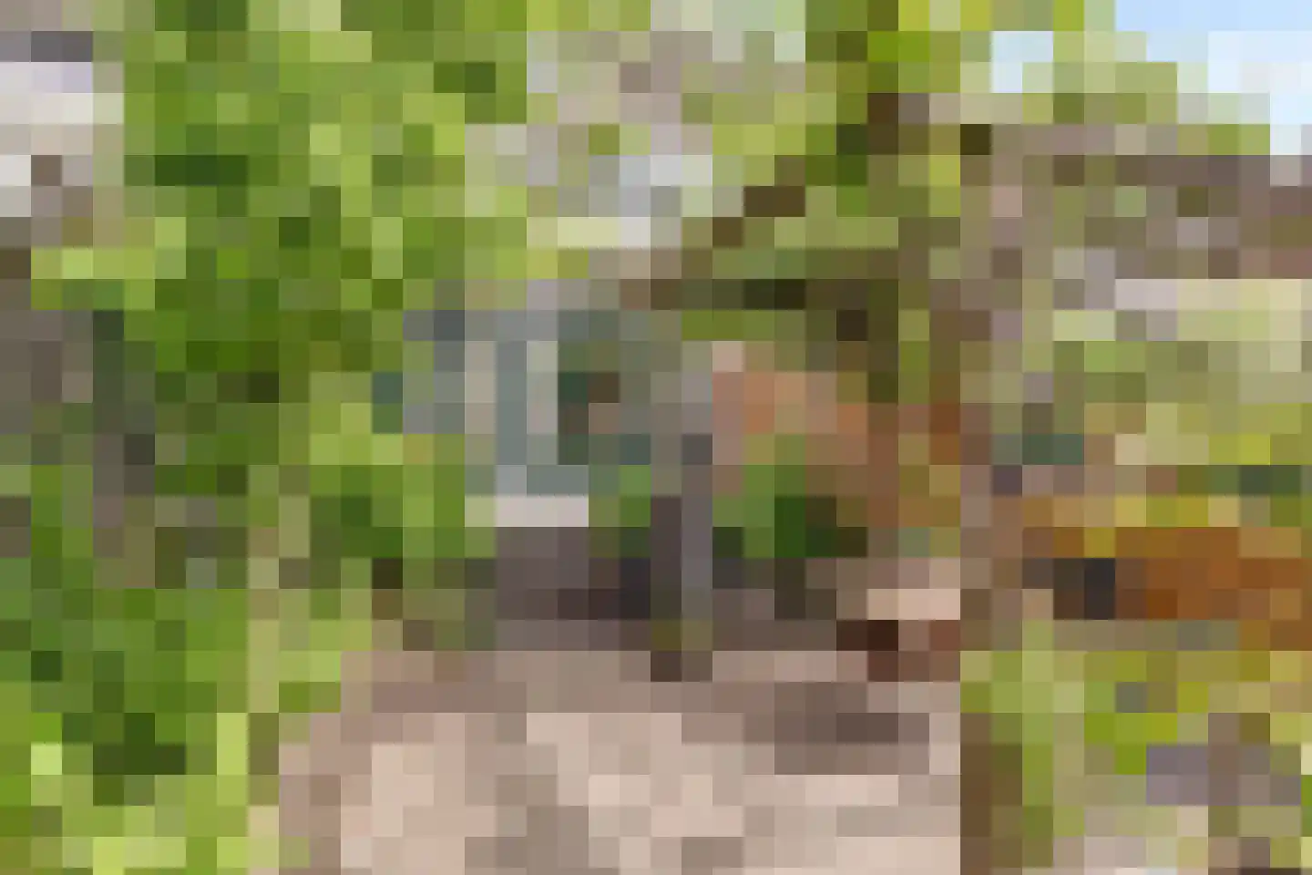 Burgvlietkade 33 Gouda thumbnail 42
