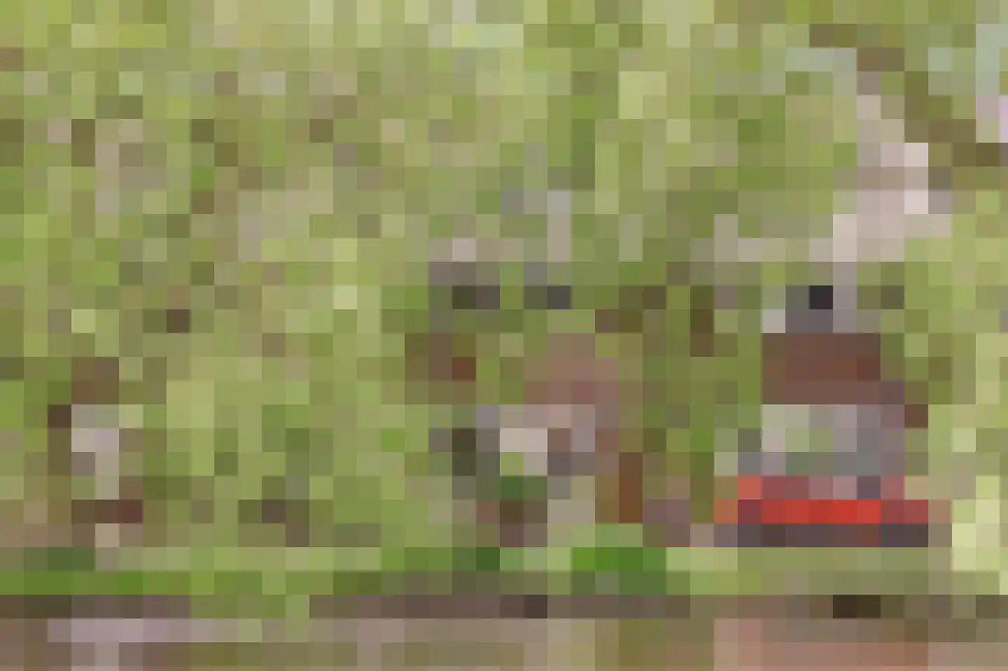Burgvlietkade 33 Gouda thumbnail 46