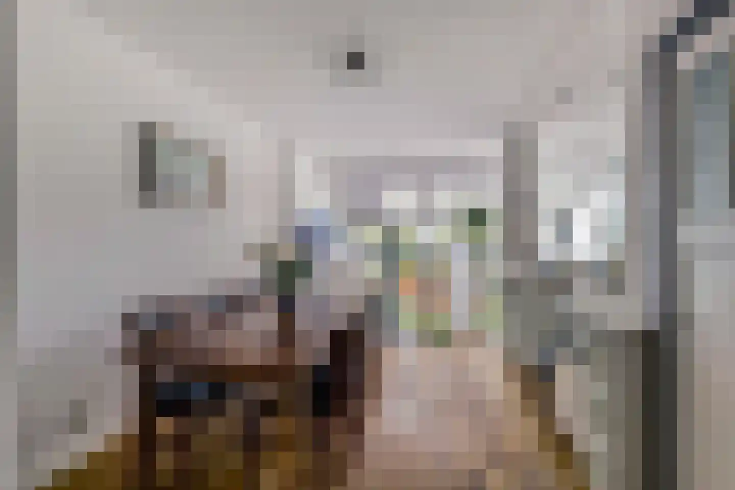 Burgvlietkade 33 Gouda thumbnail 5