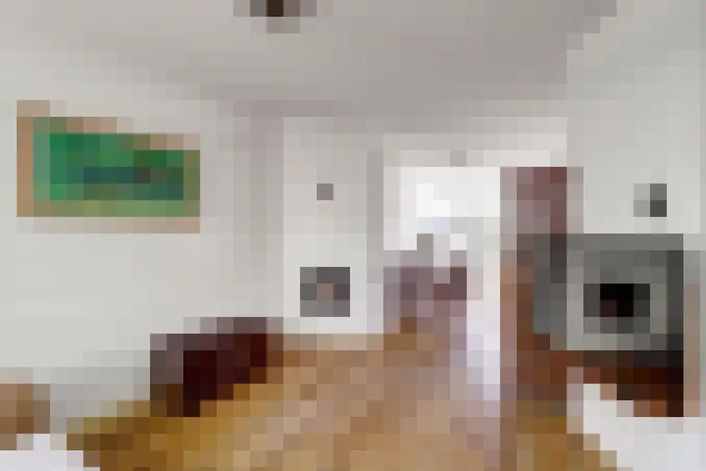 Burgvlietkade 33 Gouda thumbnail 7