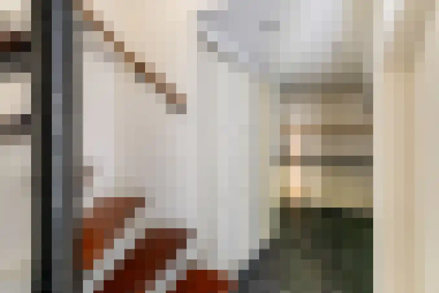 Burgvlietkade 81 Gouda thumbnail 22