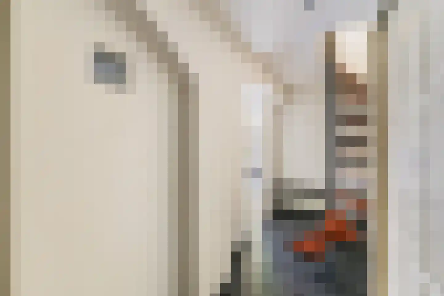 Burgvlietkade 81 Gouda thumbnail 24