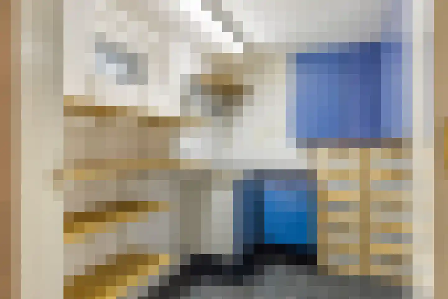 Burgvlietkade 81 Gouda thumbnail 26