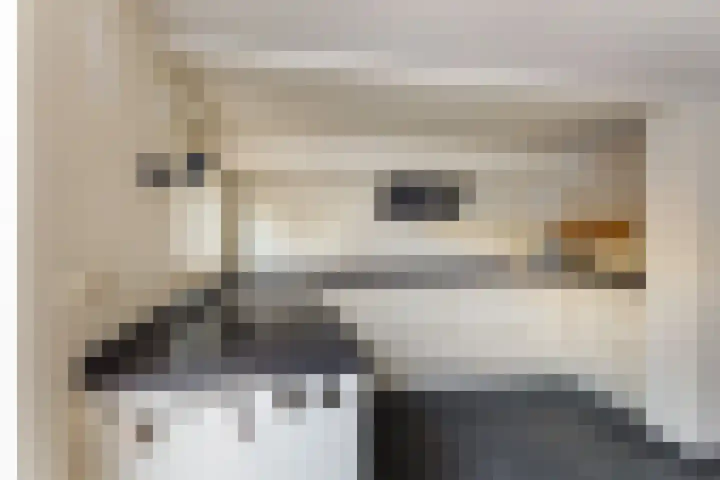 Burgvlietkade 81 Gouda thumbnail 28