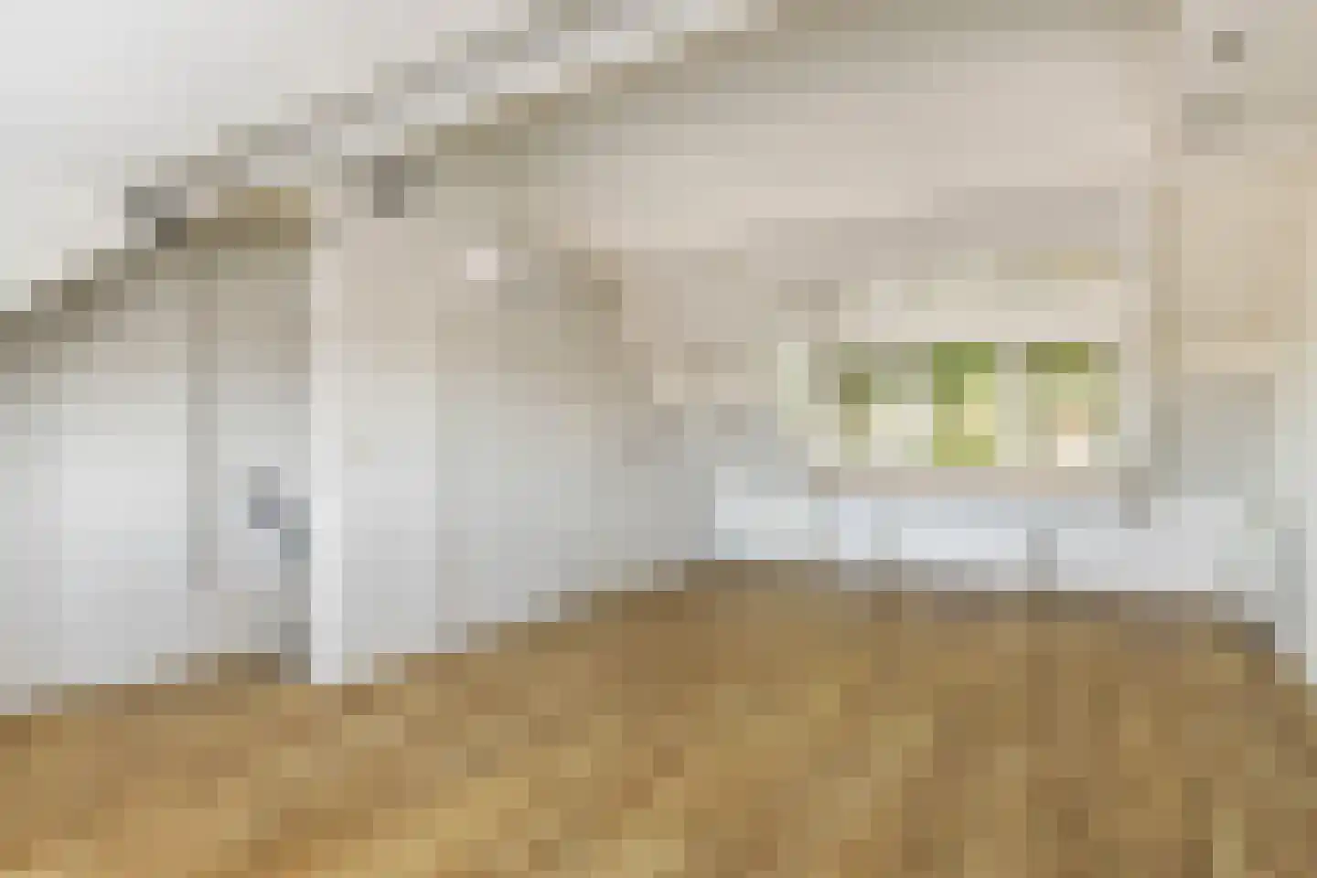 Burgvlietkade 81 Gouda thumbnail 4