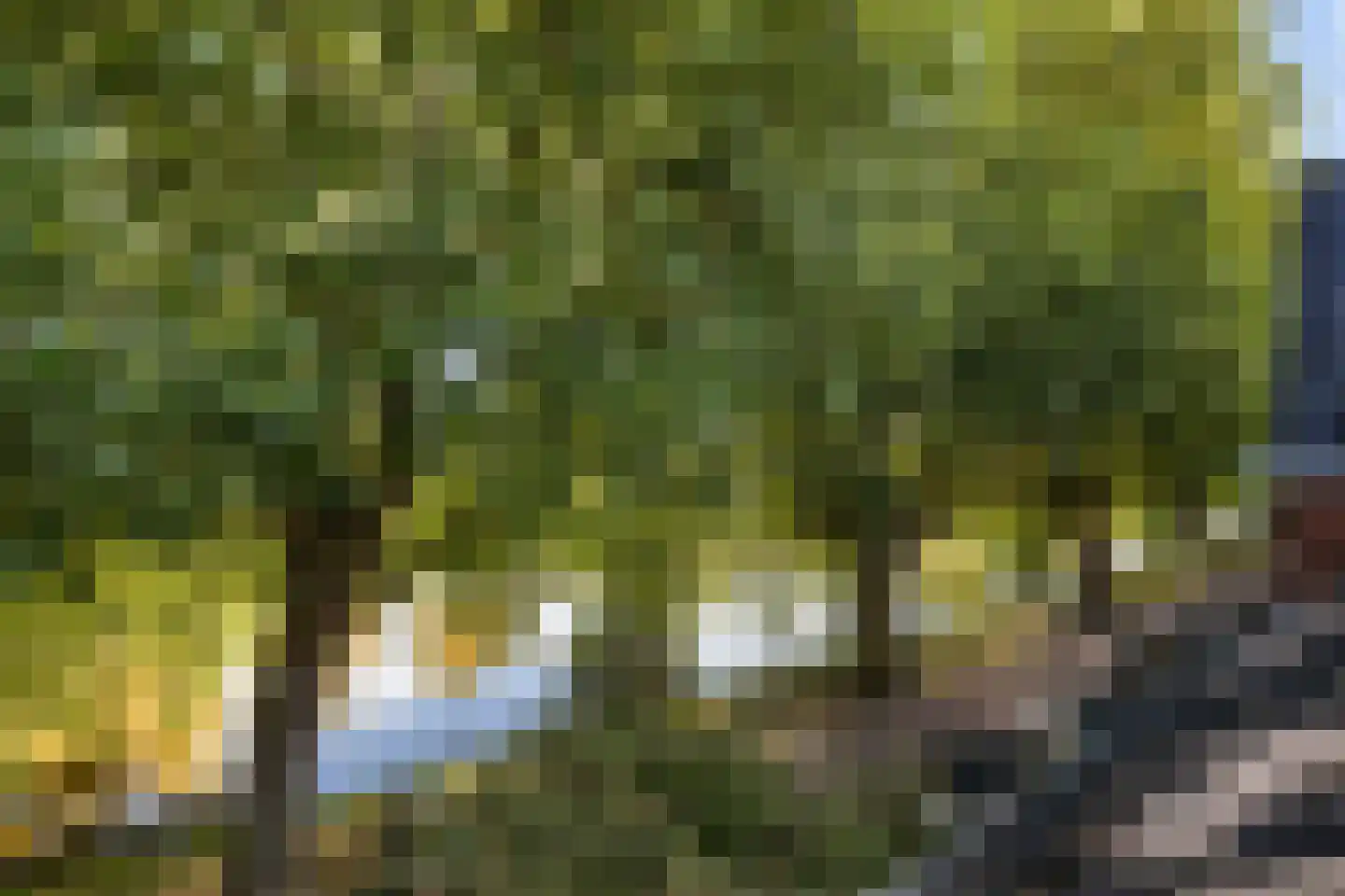 Burgvlietkade 81 Gouda thumbnail 54
