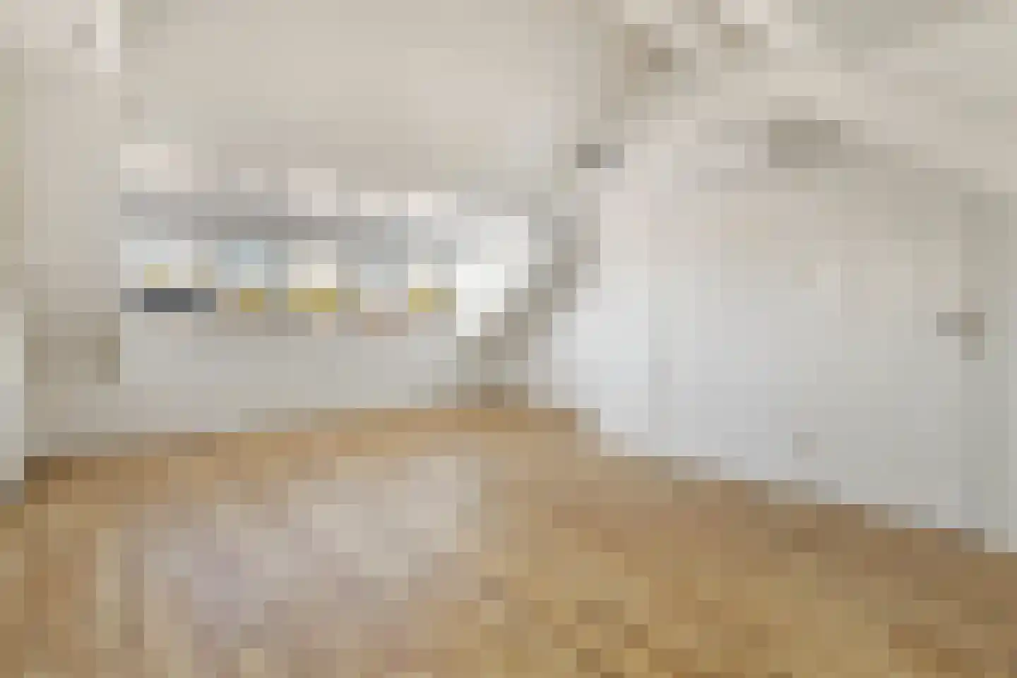 Burgvlietkade 81 Gouda thumbnail 55