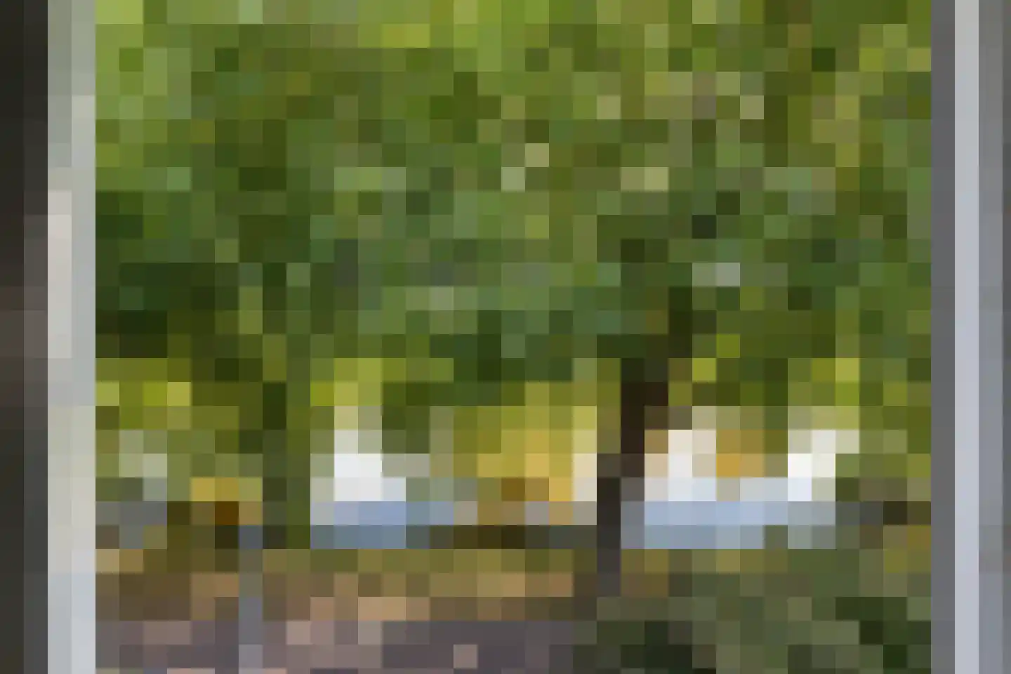 Burgvlietkade 81 Gouda thumbnail 59