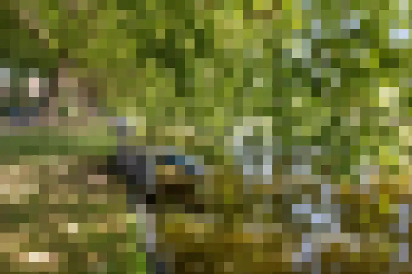 Burgvlietkade 81 Gouda thumbnail 61