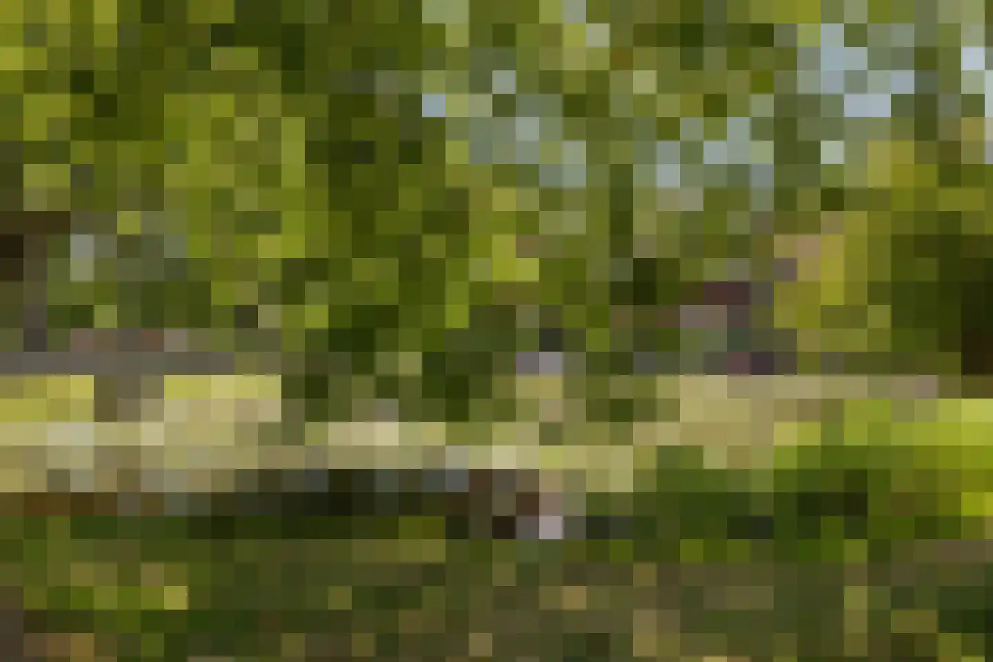 Burgvlietkade 81 Gouda thumbnail 62