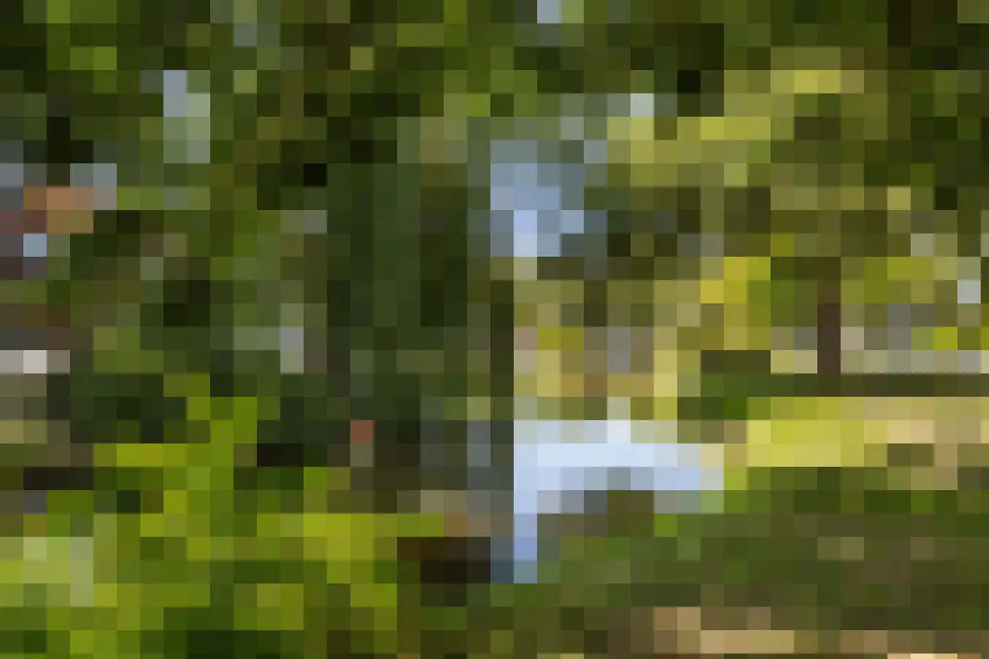 Burgvlietkade 81 Gouda thumbnail 63