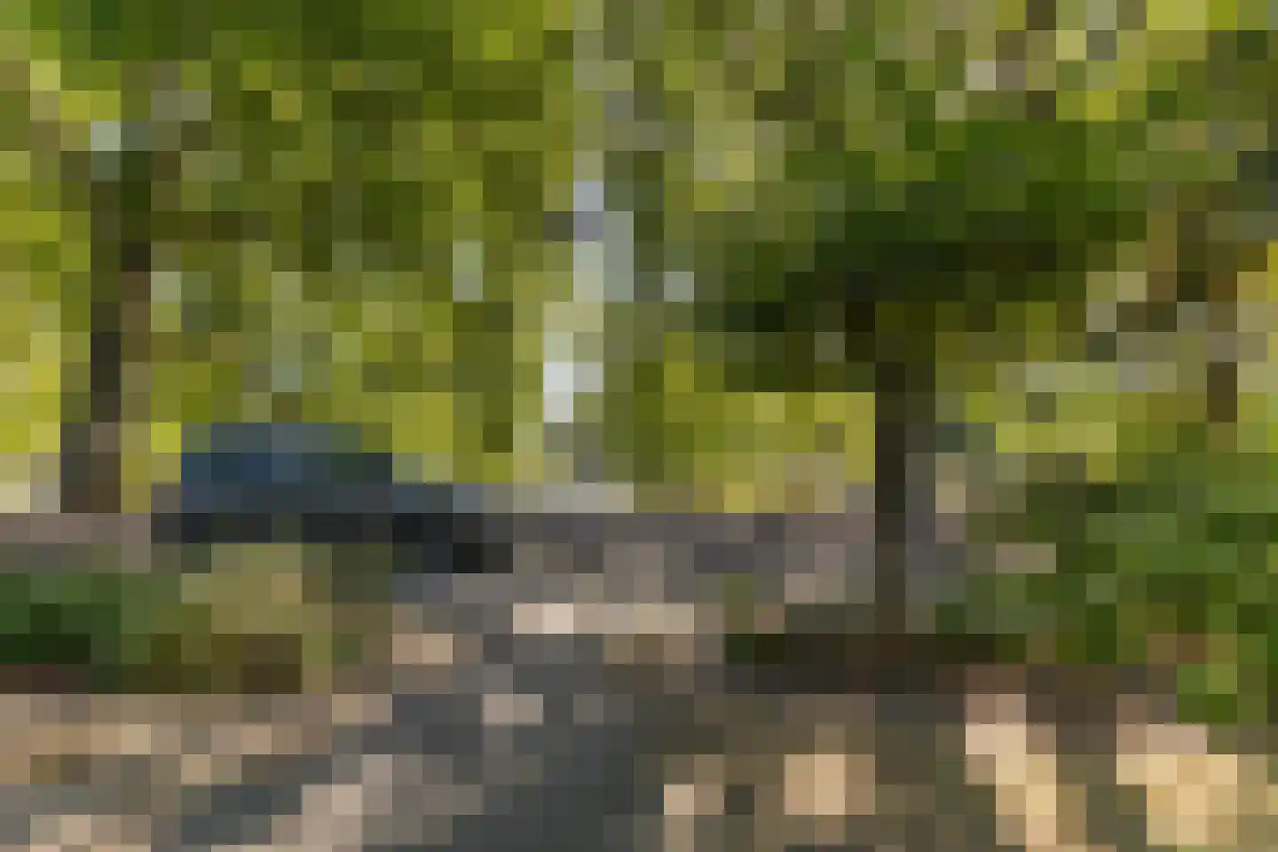 Burgvlietkade 81 Gouda thumbnail 7