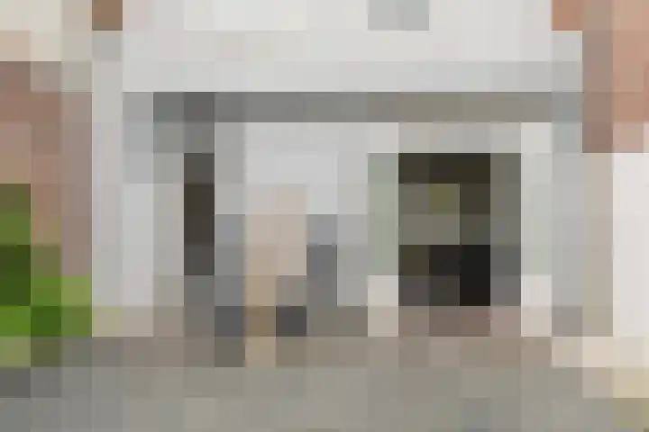 Burgwal 103 Haarlem thumbnail 24