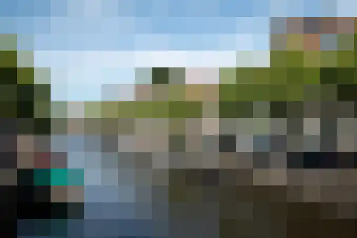 Burgwal 103 Haarlem thumbnail 28