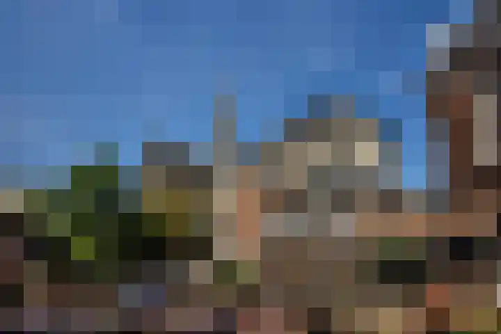 Burgwal 103 Haarlem thumbnail 30