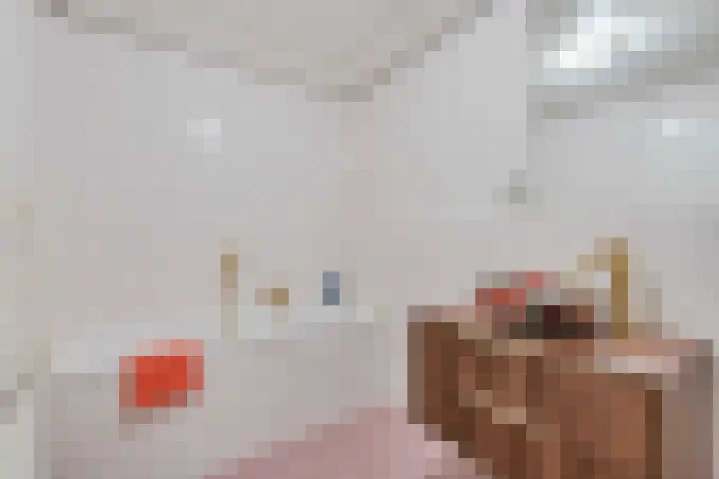 Burgwal 106 Oss thumbnail 32
