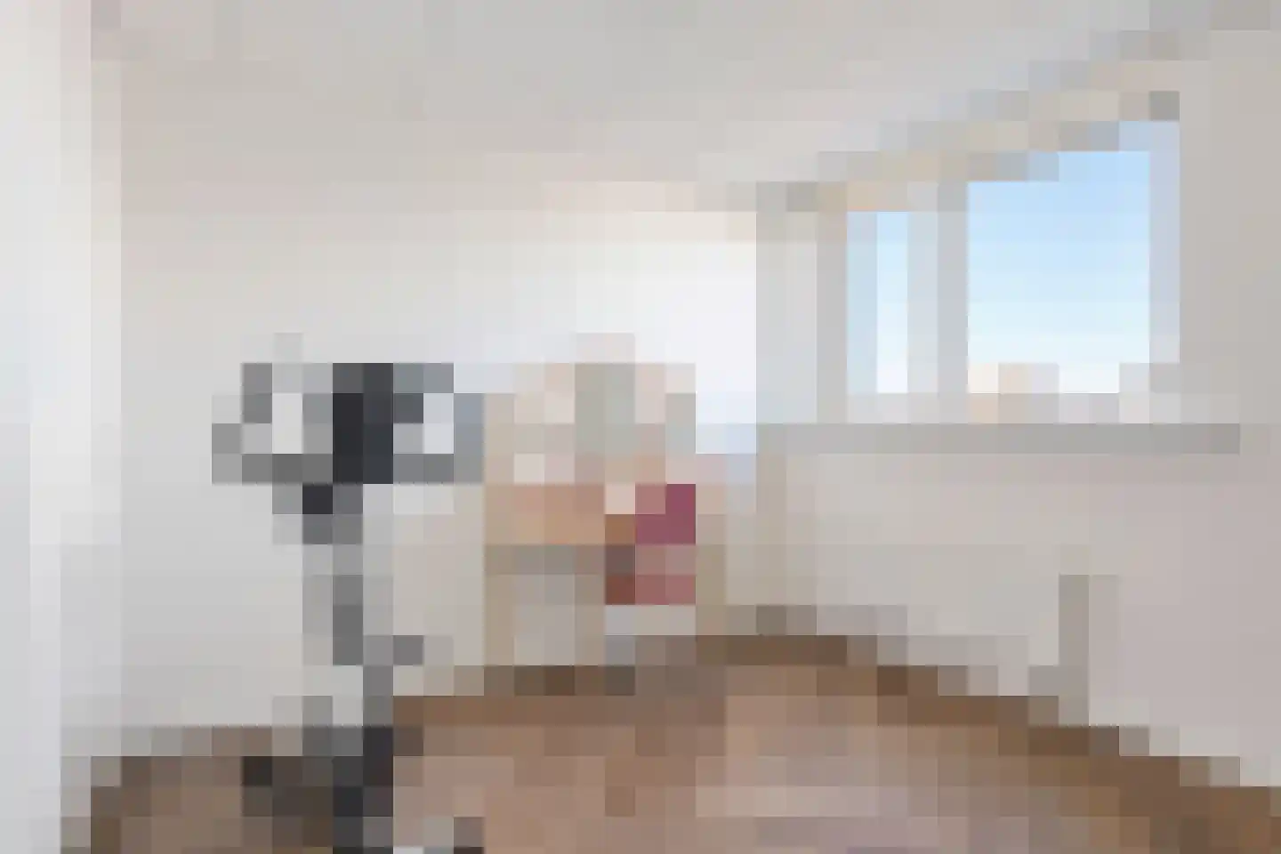 Burgwal 106 Oss thumbnail 34