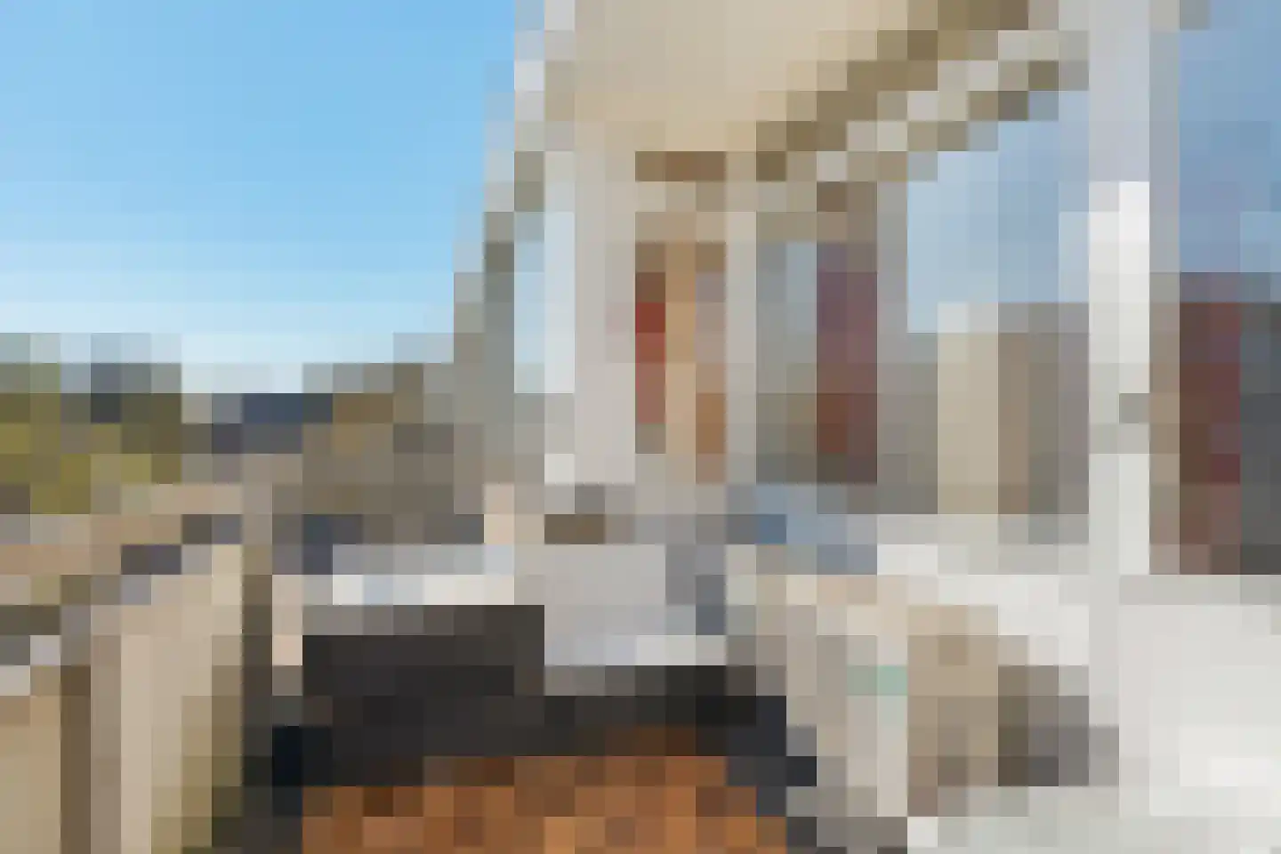 Burgwal 106 Oss thumbnail 38