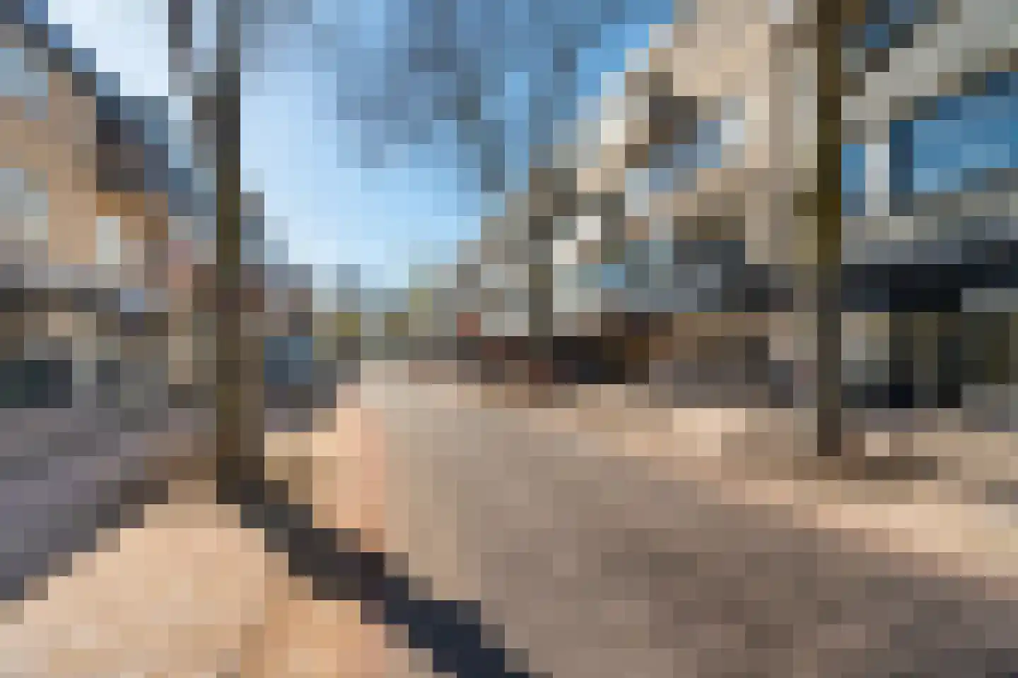 Burgwal 106 Oss thumbnail 7
