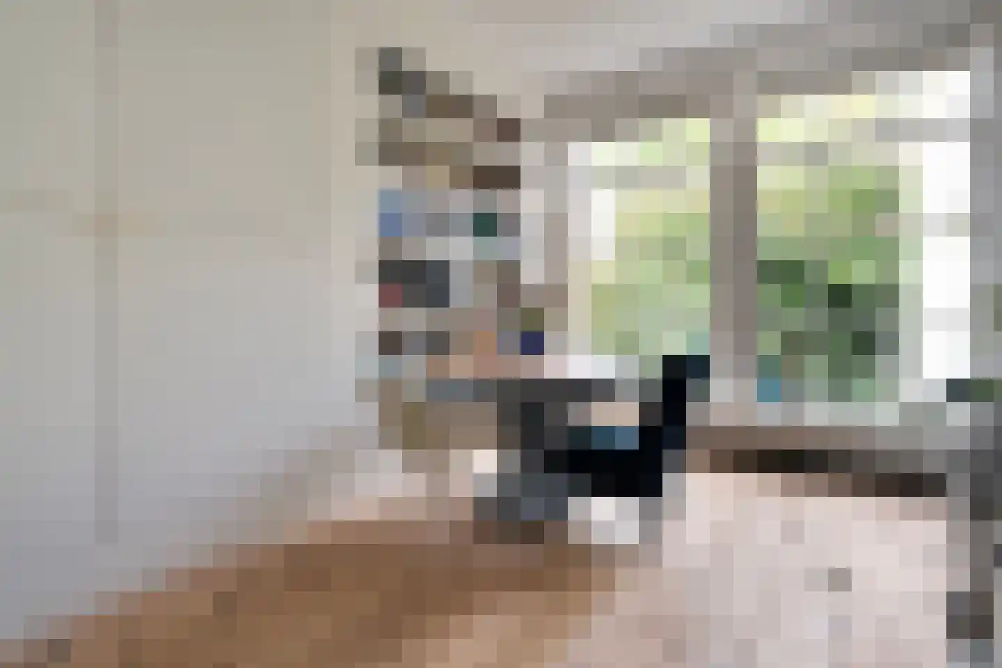 Burgwal 124 Kampen thumbnail 28