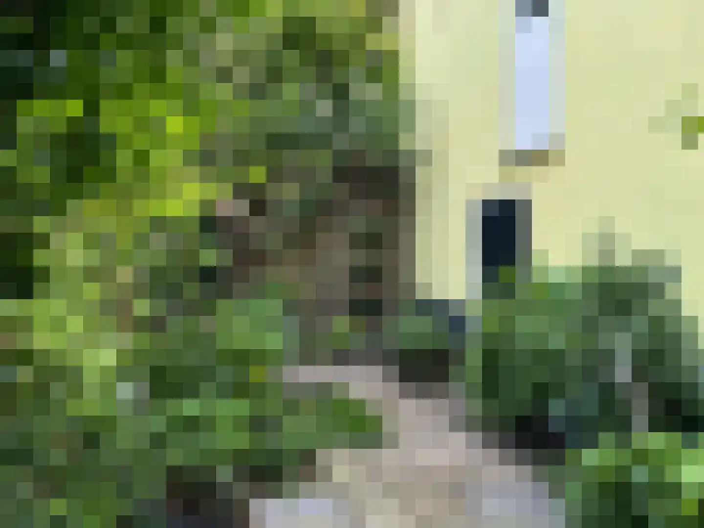 Burgwal 124 Kampen thumbnail 54