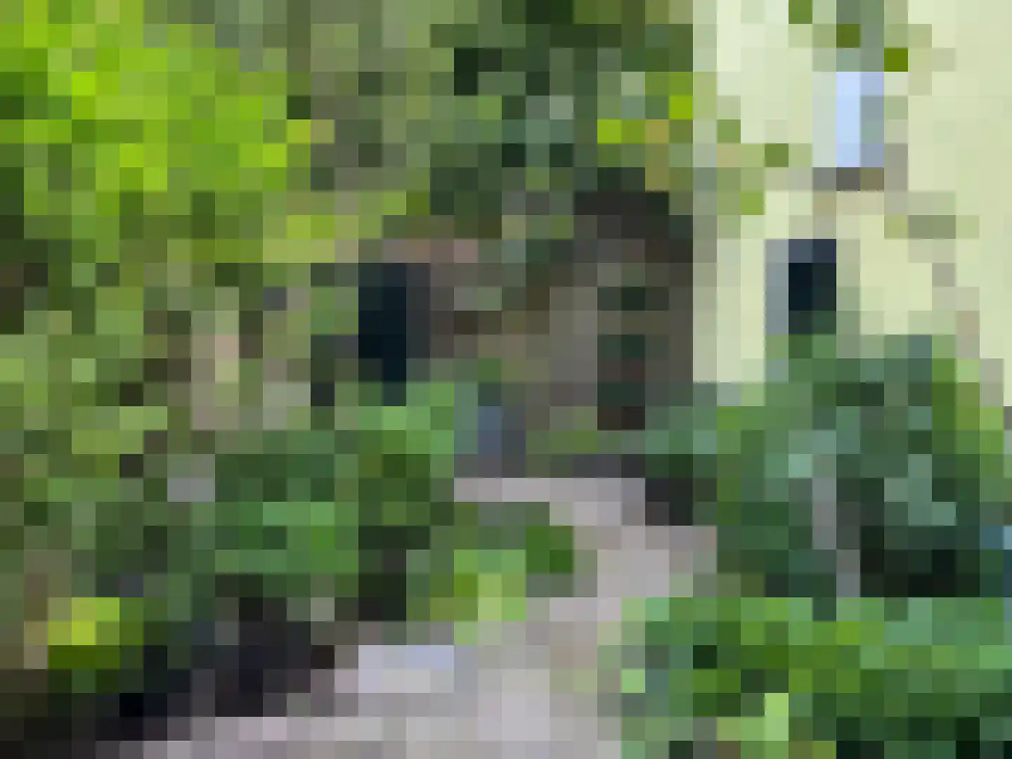 Burgwal 124 Kampen thumbnail 55