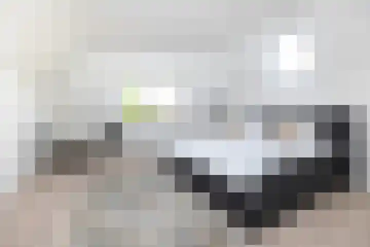 Burgwal 126 A Kampen thumbnail 19