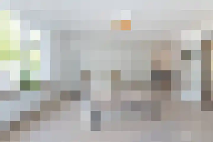 Burgwal 126 A Kampen thumbnail 9
