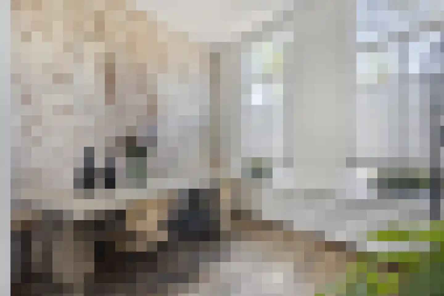 Burgwal 131 Kampen thumbnail 11