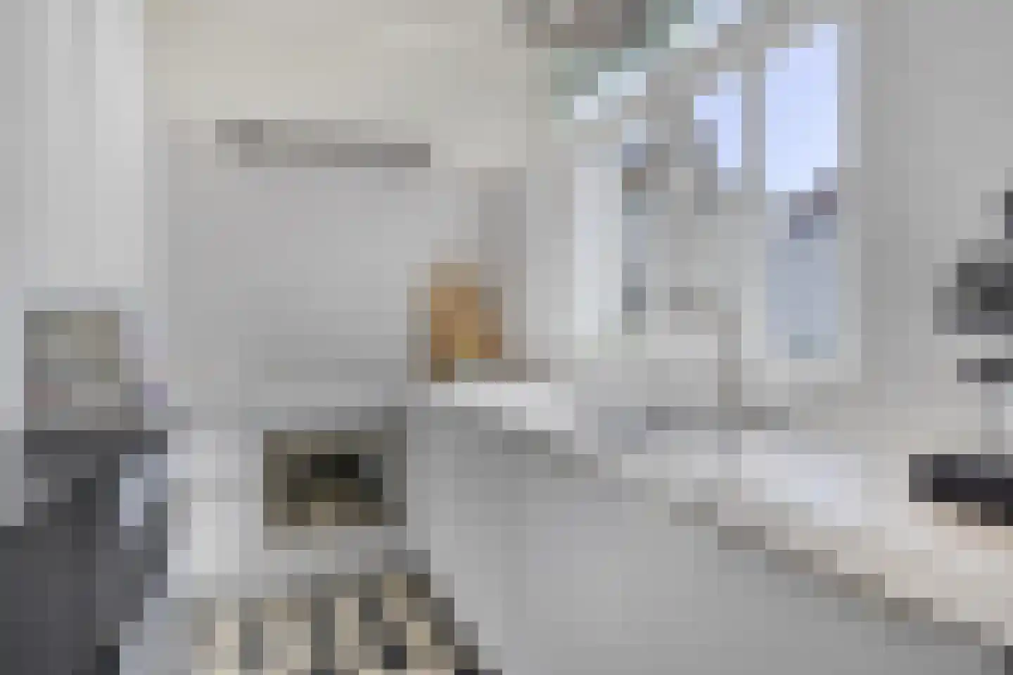 Burgwal 131 Kampen thumbnail 17