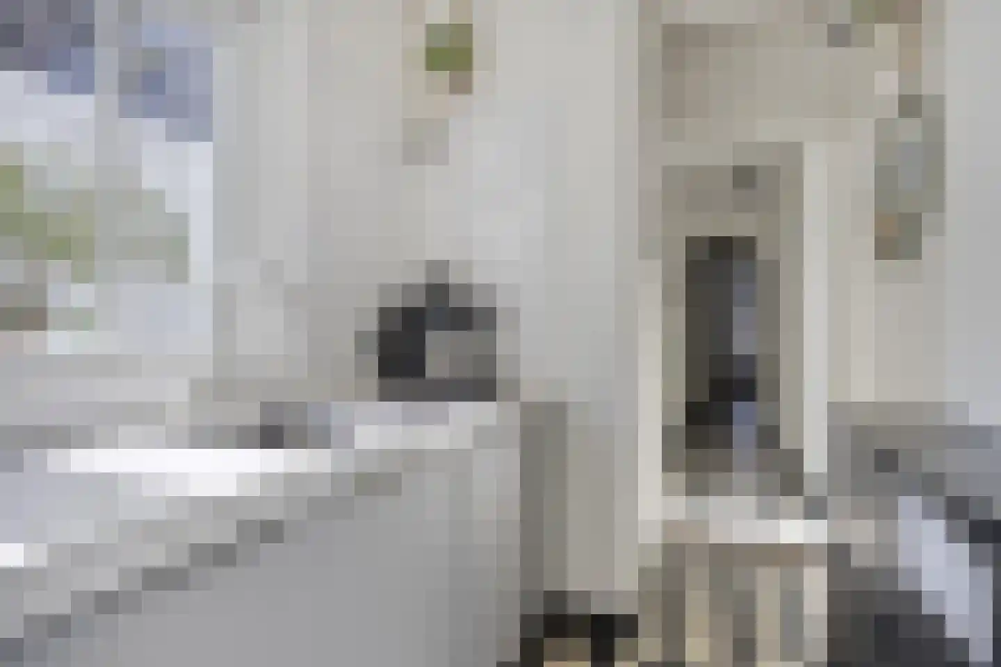 Burgwal 131 Kampen thumbnail 20